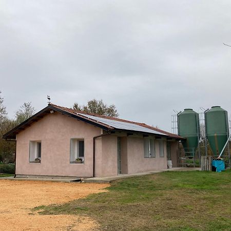 Pecore Ribelli Mira Exteriér fotografie