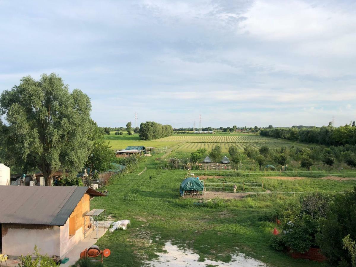 Pecore Ribelli Mira Exteriér fotografie
