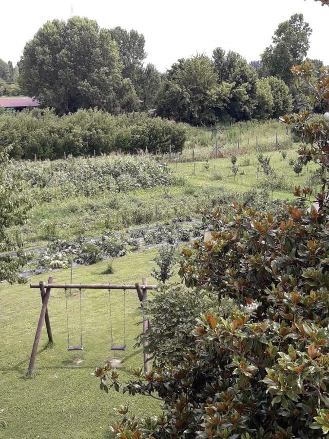 Pecore Ribelli Mira Exteriér fotografie